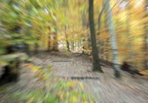 Vertigo Utah Physical Therapy